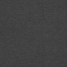 Clusia anthracite 855