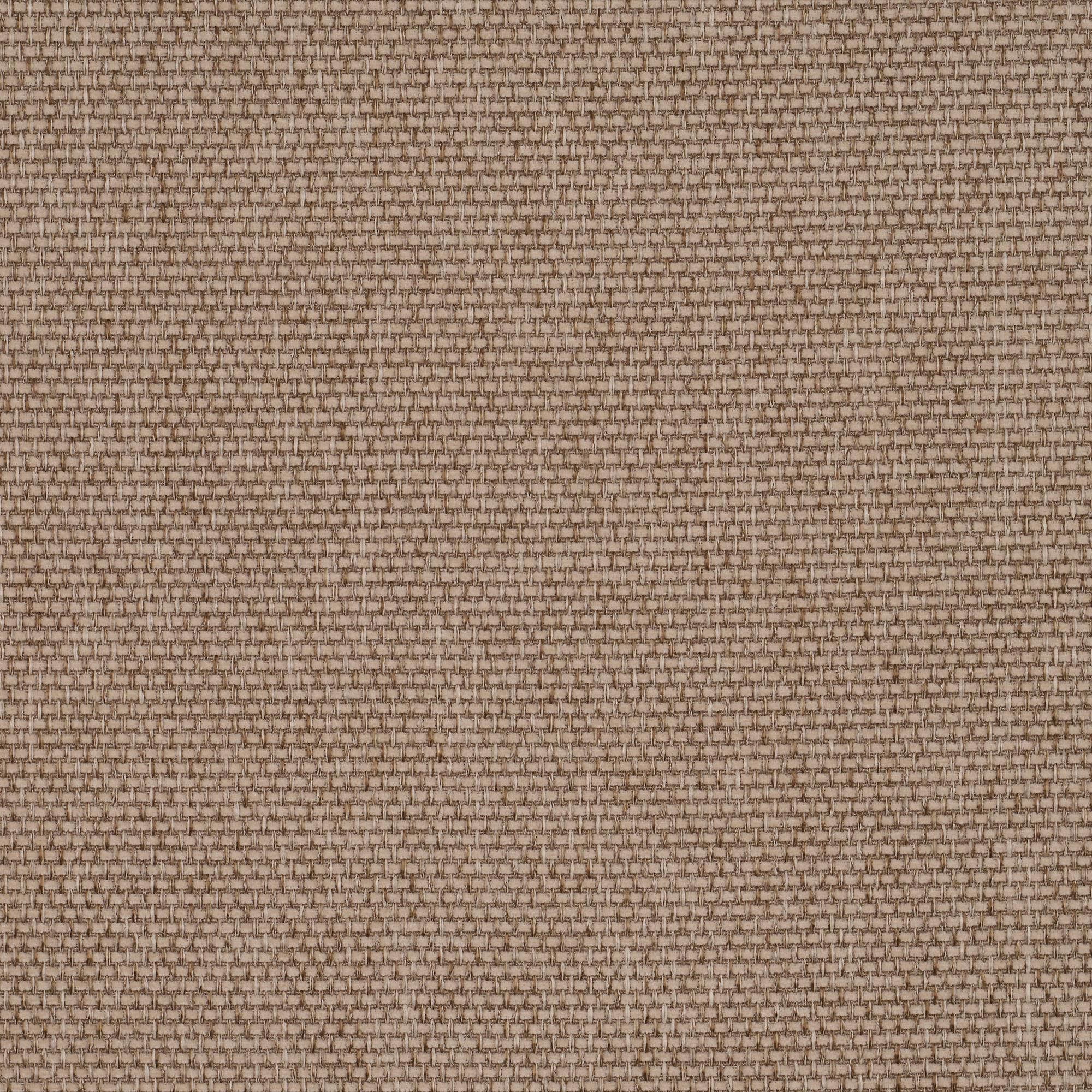 CALLISIA-TAUPE-008