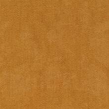 EDERA-YELLOW-120