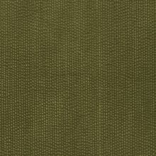 Edera green 660