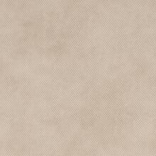 Cushion Colour