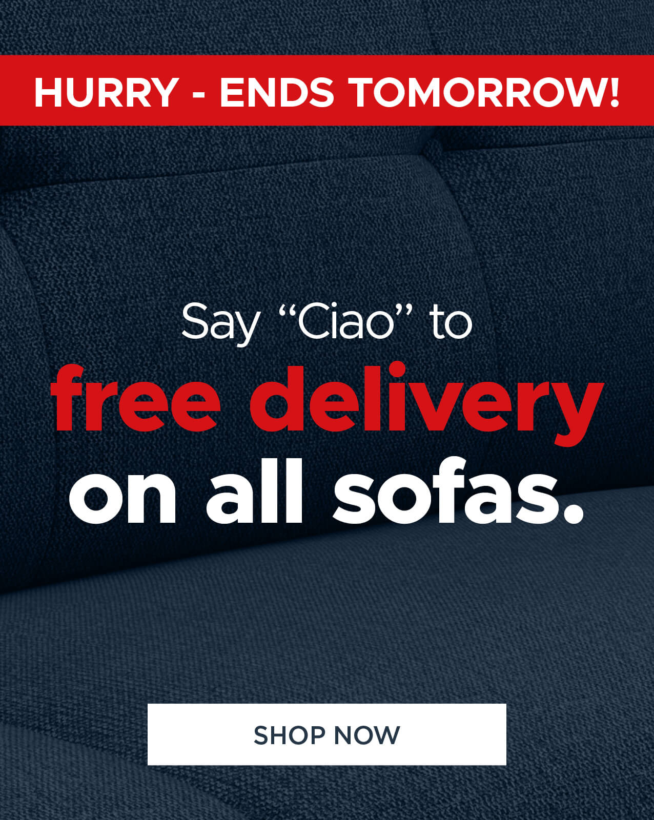 Free Delivery on all sofas